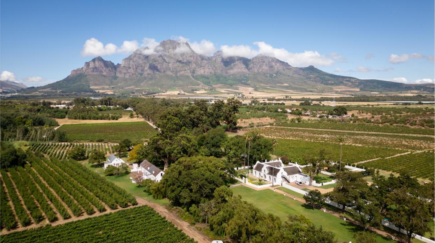 Allee Bleue Wine Estate Simondium Eksteriør bilde